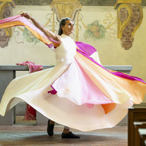Inselreise, «Federseels Reise», Rheinau, Juni 2026