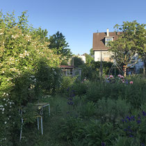 Wildpfanzengarten Im Kratz, Mai 2019