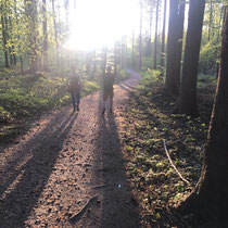 «Ausfliegen mit Gimpel», Üetliberg,  April 2020