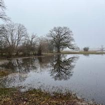 «Ausfliegen mit Gimpel» - Chatzensee, Dezember 2023