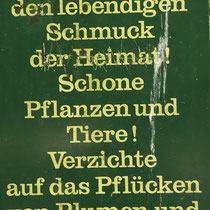 Trag Sorge, September 2019