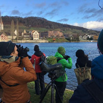 «Was fliegt denn da?» Stein am Rhein Dezember 2019