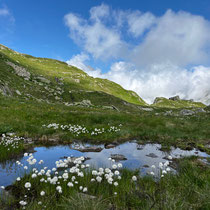 «Gimpel unterwegs» - zwischen Pörtlilücke und Etzlihütte, August 2024