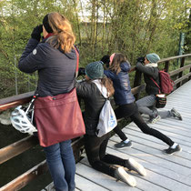 «Ausfliegen mit Gimpel», Werdinsel, April 2020