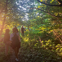 «Ausfliegen mit Gimpel» - Abendstimmung beim Seleger Moor, Juli 2026