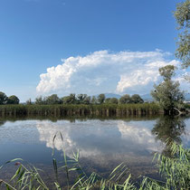 «Gimpel unterwegs» - Schutzgebiet Chreux de Terre, September 2024