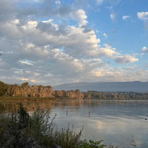 «Gimpel unterwegs» - Neuenburgersee bei Yverdon, September 2024
