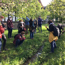 «Quartierrundgang - Essbare Wildpflanzen», April 2021