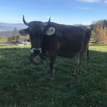 «Jetz aber!» - November 2021