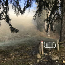 Alle Wege offen, Licht in Sicht, Jahreswechsel Januar 2020