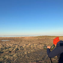 «Gimpel unterwegs» - Amrum, April 2026