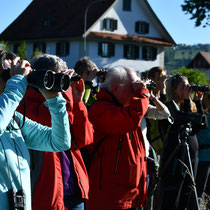 «Unsere Vögel» ornithologischer Basiskurs NAMU, Mai 2021, Foto: Martin Geiger 