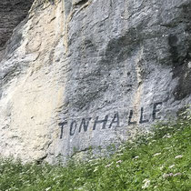«Älgi» - Übergänge, Juli 2020
