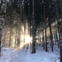 Licht in Sicht, Wintersonnenwende 21. Dezember 2021