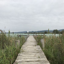 Unterwegs am Pfäffikersee, September 2019