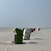 «Gimpel unterwegs» - Amrum, April 2024