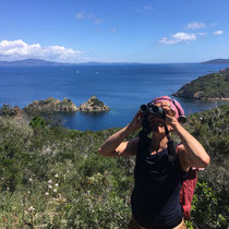 Exkursion Insel Port-Cros, Mai 2018