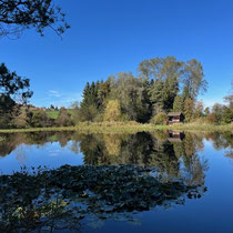 «Ausfliegen mit Gimpel» - Schutzgebiet Wildert, Oktober 2023