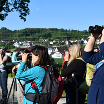 «Unsere Vögel» ornithologischer Basiskurs NAMU, Mai 2021, Foto: Martin Geiger 