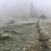 Alle Wege offen, Licht in Sicht, Jahreswechsel Januar 2020