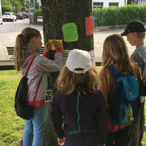 Vogelexkursion Mittelstufe Schulhaus in der Ey, Juni 2017