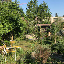 Wildpflanzengarten Im Kratz, April 2020