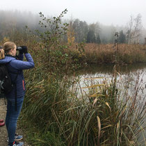 «Ausfliegen mit Gimpel», Husemersee, Oktober 2020