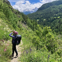 «Gimpel unterwegs» - Ardez, Juni 2024