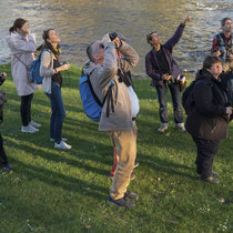 «Was fliegt denn da?» Rund um die Werdinsel, Foto Reto Schlatter