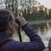 «Was fliegt denn da?» Rund um die Werdinsel, Foto: Reto Schlatter