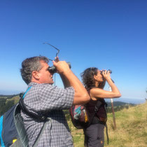 Auf der Pirsch mit Urs Heinz Aerni, September 2019