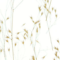 Lumicor - Natural - Meadow