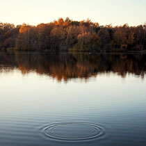 Manuela Deigert Natur Fine Art Seelandschaft mit Kreisen im Wasser