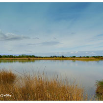 Etang de Scamandre