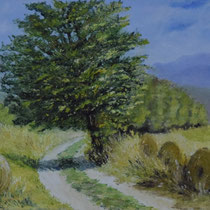 Chemin des moissons htes alpes