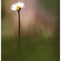 Solitude