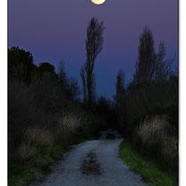 La lune du loup sur les bords du Vaccares