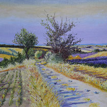 Plateau de Valensole 