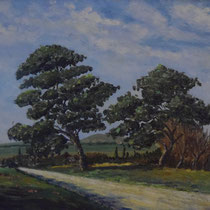 Plaine de Montmajour
