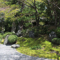 um die Yasaka Pagode