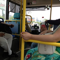 und wieder im Bus