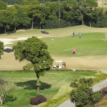 und auf den Golfplatz