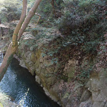 Blick in die Schlucht