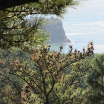 Insel