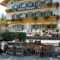 Mittenwald Hotel Rieger