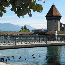 Lucerne