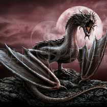 Fantasy Dragon Illustration " Nox " art for licensing  / licensing artist