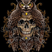 Gothic Fantasy Illustration " Death Wisdom " art for licensing  / licensing artist