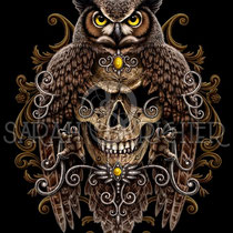 Gothic Fantasy Illustration " Death Wisdom " art for licensing  / licensing artist