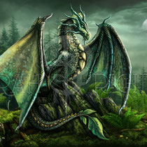 Fantasy Dragon Illustration " Terralon " art for licensing  / licensing artist
